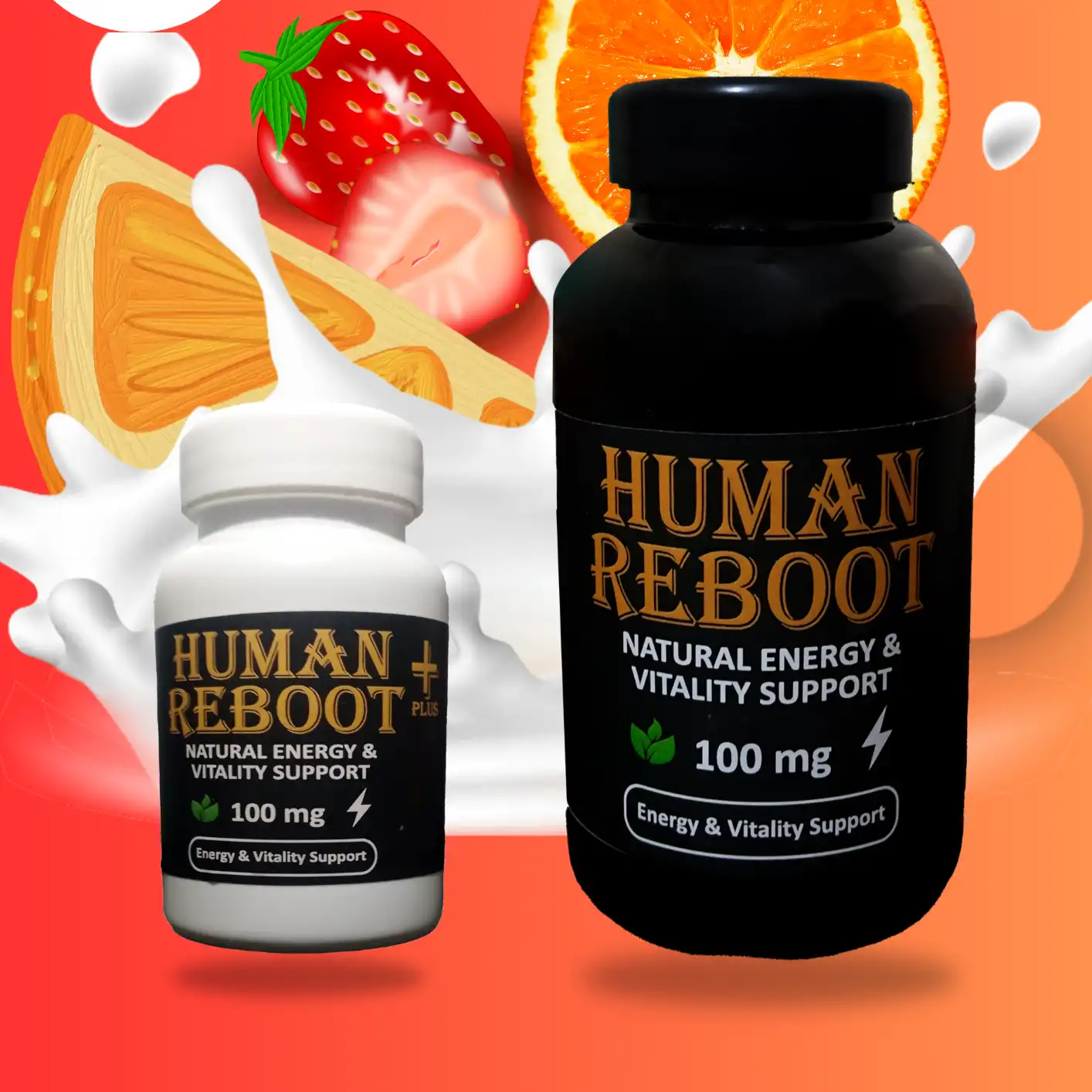 ৩ মাসের কোর্স